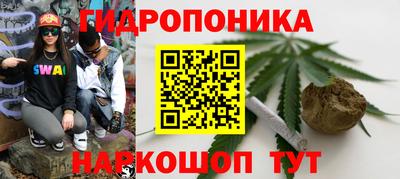 гидропоника Ипатово