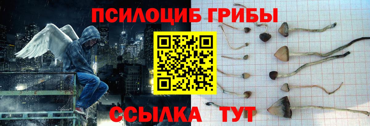 Псилоцибиновые грибы Cubensis  Вход с VPN  Кунгур 