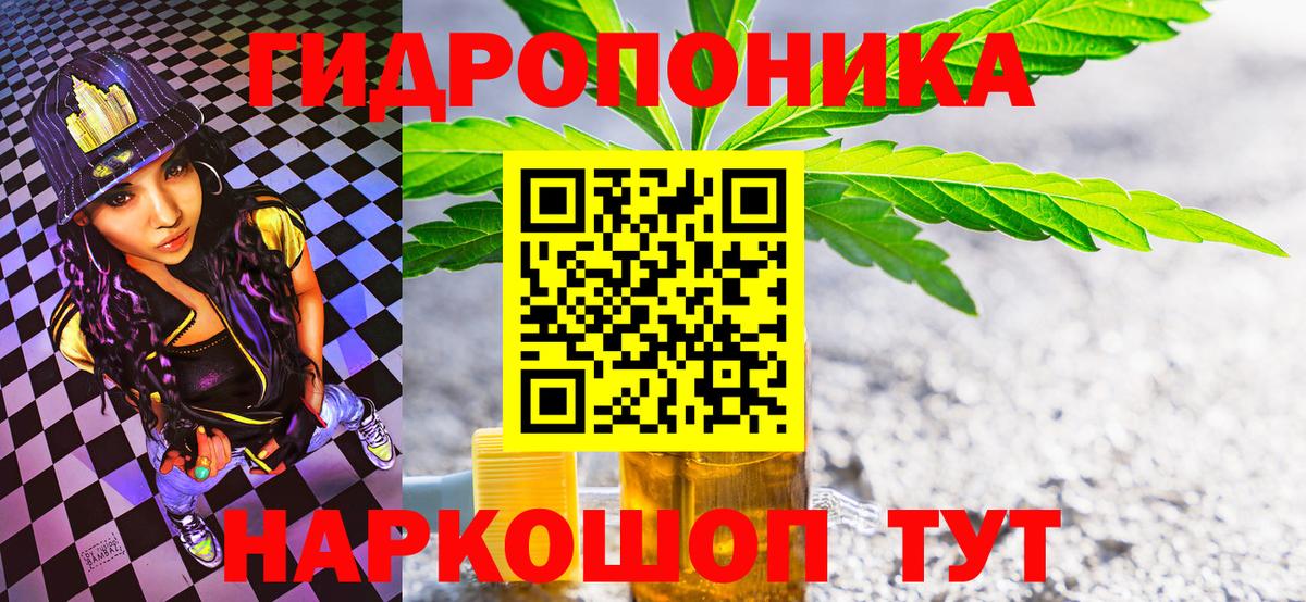 Бошки Шишки сатива Кунгур